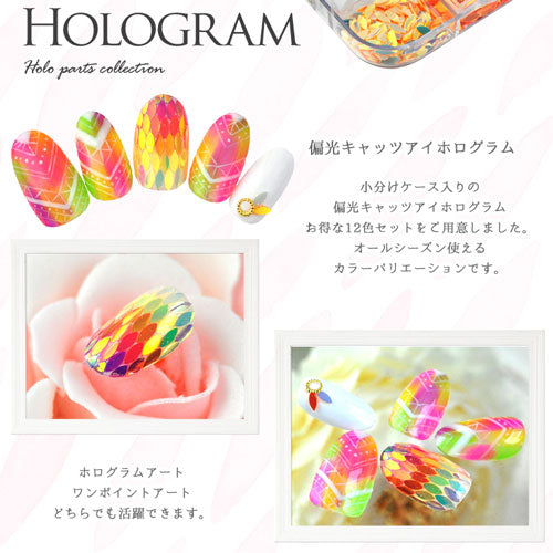 ジェルネイル・レジンに♪貝殻♪小分けケース入りキャッツアイホログラム12色セット | ネイル ネイル用品 ジェルネイル ネイルグッズ ホログラム パーツ ネイルパーツ ネイルアート ネイル用 ジェルネイルアート キャッツアイ ネイル工房