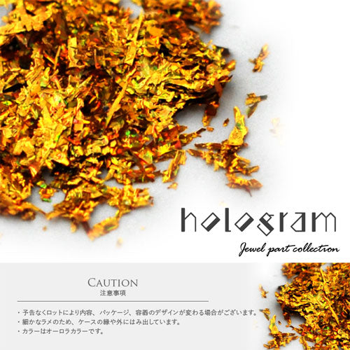 金箔 新感覚ホログラム 乱切り 細切り ライン ラメ ジェルネイル アート ネイル ジェルネイル ゴールド シルバー ケース付き オーロラカラー | ネイル用品 ネイルグッズ ホログラム パーツ ネイルパーツ ネイル用 乱切りホロ 乱切りホログラム ネイル工房