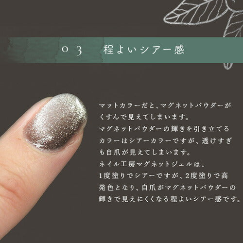 マグネットネイル 全色セット 20色 マグネットネイル ジェルネイル カラージェル キャッツアイ 磁石 シルバー ラメ | カラー ポリッシュ ネイルジェル アートジェル ジェルネイル用品 爪 カラージェルネイル ジェルネイルアート ネイル工房 にわちゃん