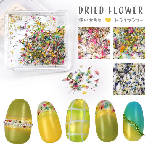 押し花 押花 ドライフラワー 春 お花 ハーバリウムアート が楽しめる フラワー お試しセット<BR><BR>ネイルパーツ ネイルアート デコ | 花 パーツ ジェル ジェルネイル ネイル用品 ネイル ジェルネイル用品 ネイルパーツ ジュエリー アート プリザーブトフラワー