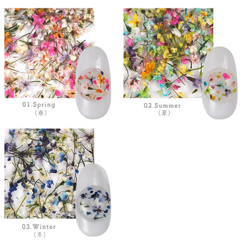 押し花 押花 ドライフラワー 春 お花 ハーバリウムアート が楽しめる フラワー お試しセット<BR><BR>ネイルパーツ ネイルアート デコ | 花 パーツ ジェル ジェルネイル ネイル用品 ネイル ジェルネイル用品 ネイルパーツ ジュエリー アート プリザーブトフラワー