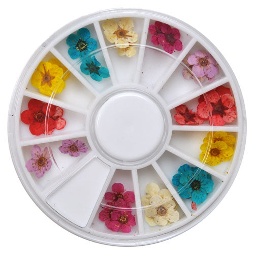 ジェルネイル&レジンに♪押し花6種類セット★フラワーお試しセット<BR><BR>ネイルパーツ ネイルアート フラワー デコ|押し花 セット 花 パーツ ジェル ネイル用品 ネイル ジェルネイル用品 ジェルネイル ジェルネイルパーツ パーツセット セルフネイル
