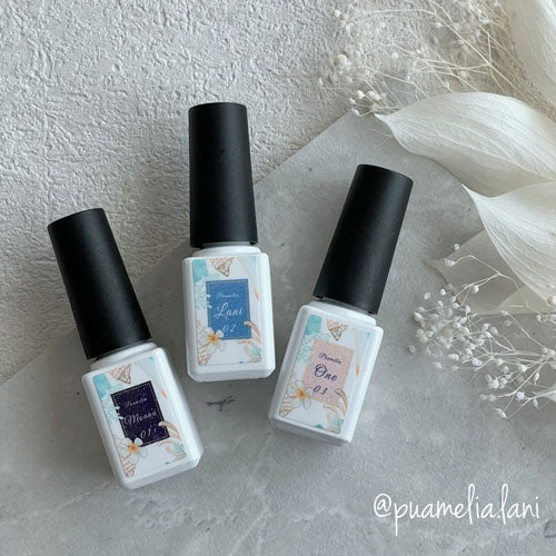【puamelia.lani×ネイル工房】 アンバサダーコラボ企画 3本セット ジェルネイル カラージェル | カラー ポリッシュ ネイルジェル アートジェル ジェルネイル用品 爪 カラージェルネイル ジェルネイルアート にわちゃん