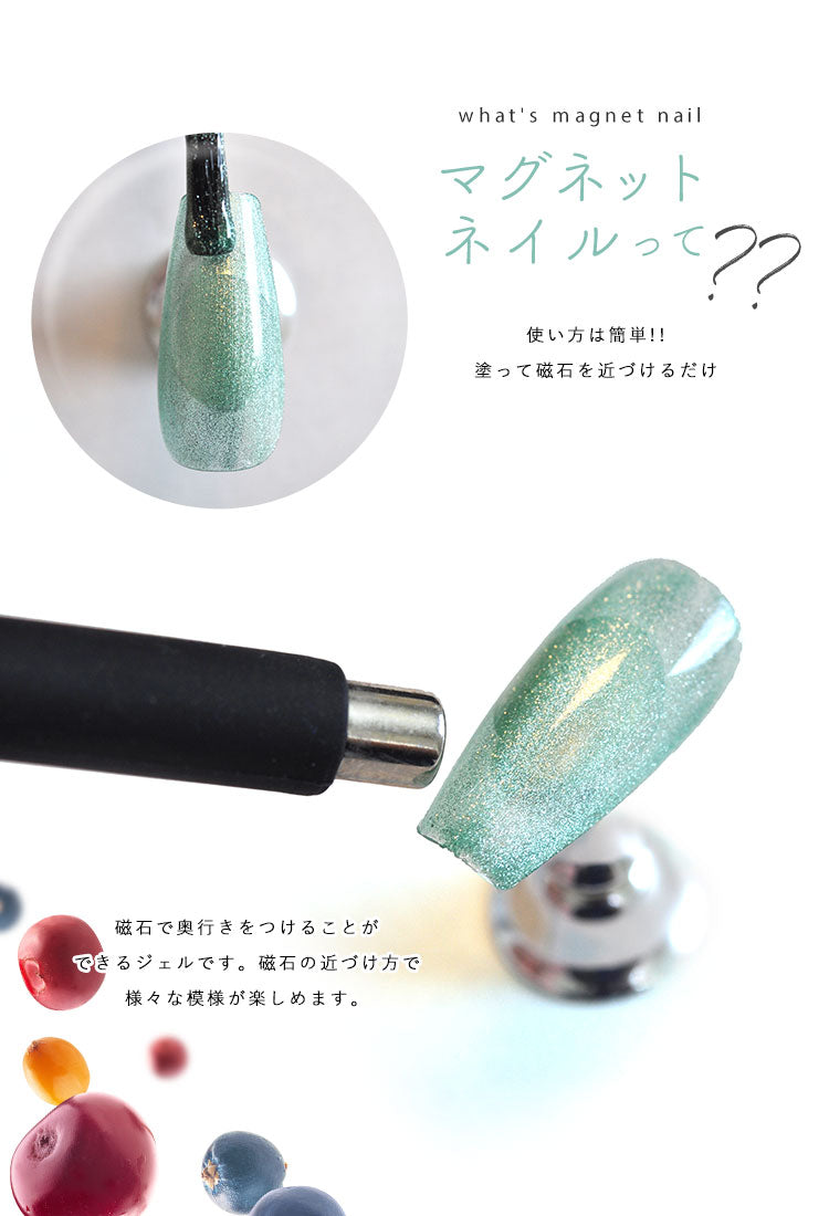 【全12色セット】超高発色 マグネットネイル フルーツの果汁のような透明感あふれる 「FruitMagnet」 カラージェル ジェルネイル クリアカラー カラー ポリッシュ ネイルジェル ジェルネイル用品 爪 カラージェルネイル ジェルネイルアート ネイル工房 にわちゃん