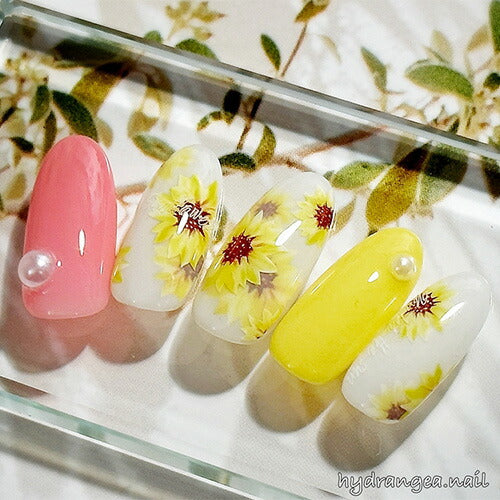 ネイルシール アンバサダーコラボ×TOMOさん ひまわり ヒマワリ 文字 | ジェルネイル ネイル ネイル用品 ジェル シール デコ用品 貼るだけ ジェルネイルシール ネイルアート ジェルネイルアート ネイルグッズ ネイル工房