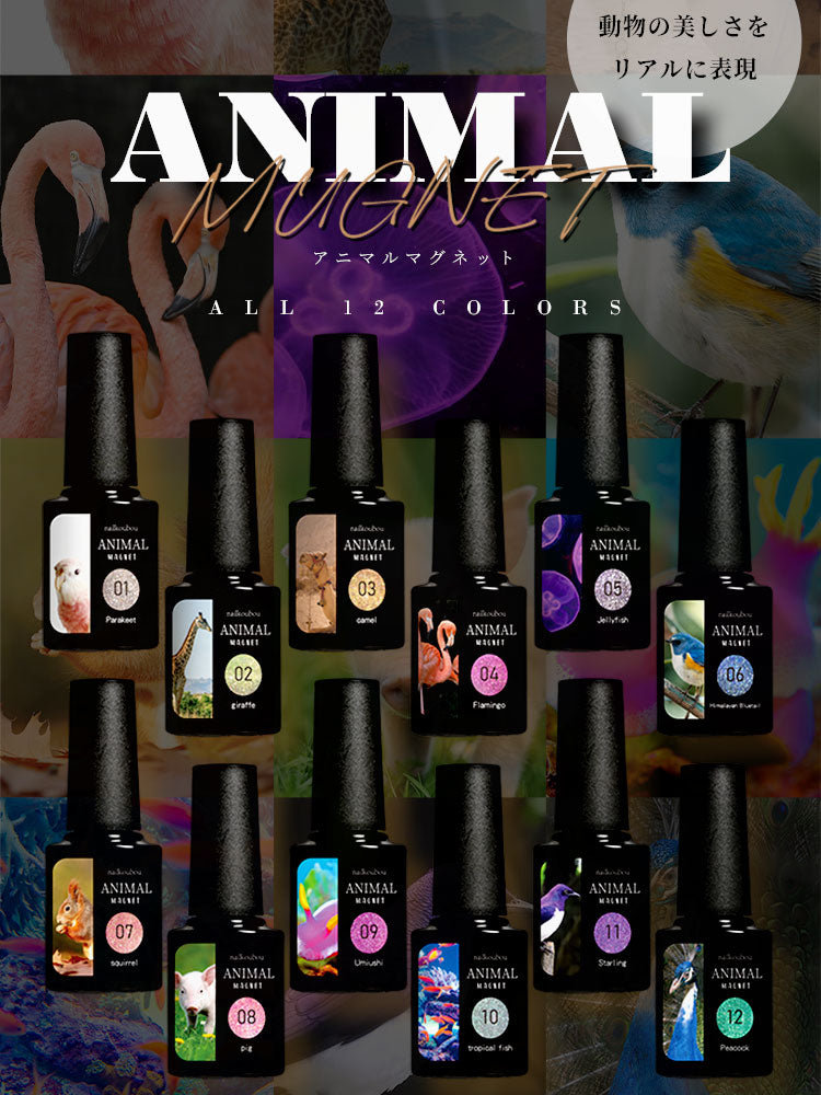 【全6色セット】【ANIMAL★MAGNET】マグネットネイル バイカラー くすみカラー シアーカラー カラージェル ジェルネイル クリアカラー カラー ポリッシュ ネイルジェル アートジェル ジェルネイル用品 爪 カラージェルネイル ジェルネイルアート ネイル工房 にわちゃん