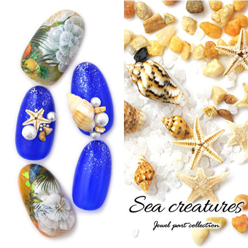ネイルパーツ 天然貝 本物ヒトデ 天然石 ネイルジュエリー スターフィッシュ マリンパーツ ネイルアートメタル ヒトデ サマーネイル 夏 | ジェルネイル ジェル ネイルアート ネイルジュエリー マリン サマー メタルスタッズ ネイル工房