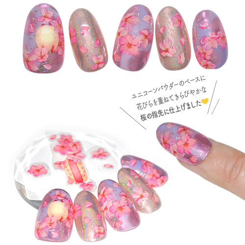 フラワーネイルシール 極薄 桜 さくら 提灯 押し花 押花 フラワー 花 カラージェル かわいい 貼るだけ簡単 ネイルシール | ネイル シール ネイル用品 フラワー 花柄 ジェルネイル ネイルパーツ ジェル ネイルシール