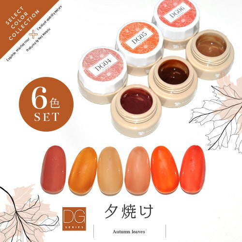 【全6色セット】カラージェル 落ち着きシアー感 明るいテラコッタ 『夕焼け』DGシリーズ ジェルネイル セレクトカラージェル | カラー ポリッシュ ネイルジェル ジェルネイル用品 爪 カラージェルネイル ジェルネイルアート ネイル工房 にわちゃん