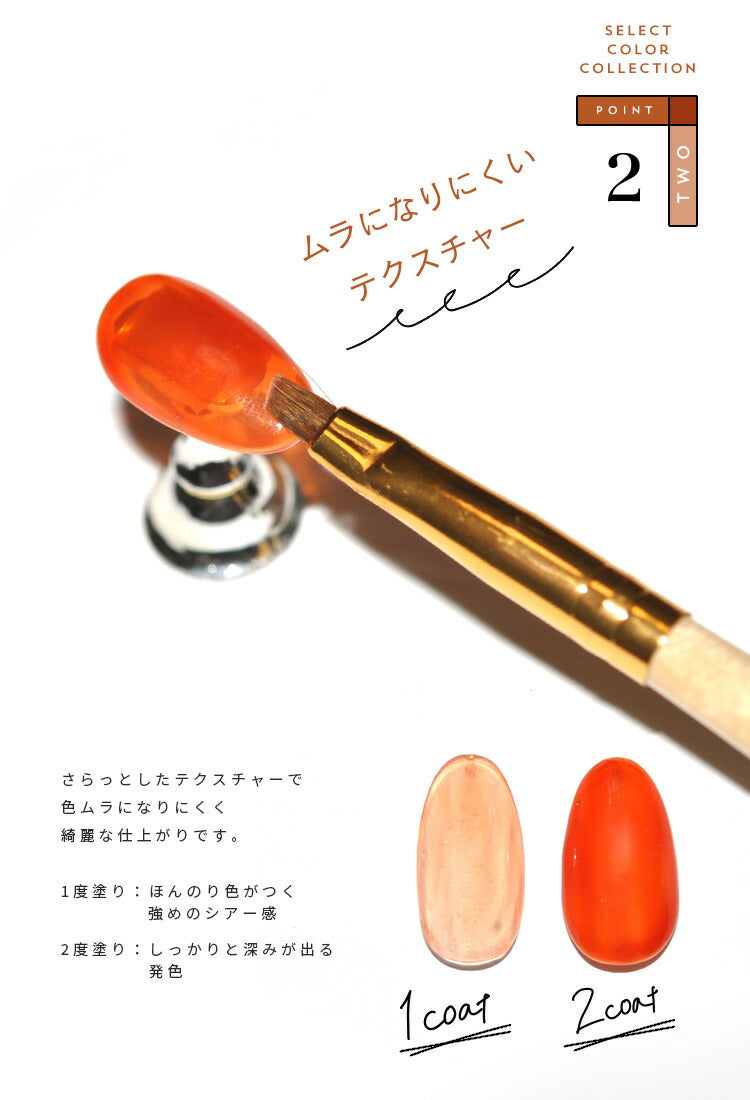 【全6色セット】カラージェル 落ち着きシアー感 明るいテラコッタ 『夕焼け』DGシリーズ ジェルネイル セレクトカラージェル | カラー ポリッシュ ネイルジェル ジェルネイル用品 爪 カラージェルネイル ジェルネイルアート ネイル工房 にわちゃん