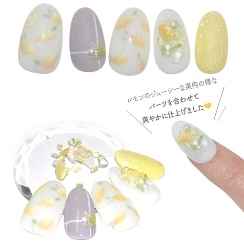 ビジュー ミックス シェル天然貝 天然石 ブリオン メタルパーツ ネイルパーツ | ジェルネイル ネイル用品 ジェル 花 バラ ハンドメイド 手芸 ジェルネイル用品 ネイル パーツ メタル ネイルアート ジュエリー デコパーツ