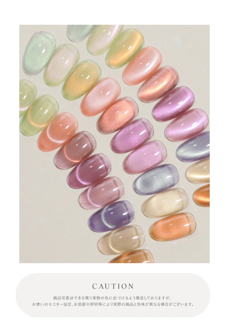 【全品半額coupon事前配布中】リアルフルーツマグネットマグネットネイル「RealFruitMagnet」カラージェルジェルネイルクリアカラーネイルジェルアートジェルジェルネイル用品爪カラージェルネイルネイル工房にわちゃん