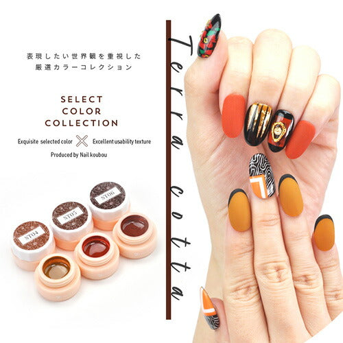 Select color STシリーズ TerraCotta シアー テラコッタ ブラウン えんじ カラージェル ジェルネイル セレクトカラージェル | カラー ポリッシュ ネイルジェル アートジェル ジェルネイル用品 爪 カラージェルネイル ジェルネイルアート ネイル工房 にわちゃん