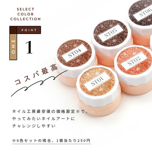 Select color STシリーズ TerraCotta シアー テラコッタ ブラウン えんじ カラージェル ジェルネイル セレクトカラージェル | カラー ポリッシュ ネイルジェル アートジェル ジェルネイル用品 爪 カラージェルネイル ジェルネイルアート ネイル工房 にわちゃん