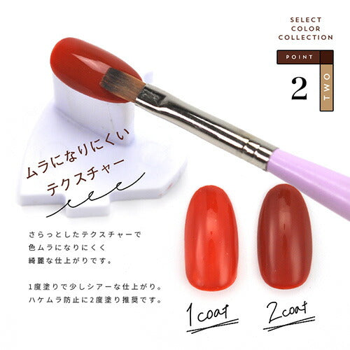 Select color STシリーズ TerraCotta シアー テラコッタ ブラウン えんじ カラージェル ジェルネイル セレクトカラージェル | カラー ポリッシュ ネイルジェル アートジェル ジェルネイル用品 爪 カラージェルネイル ジェルネイルアート ネイル工房 にわちゃん