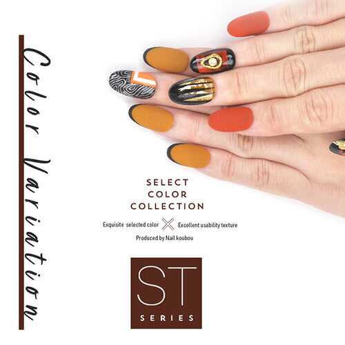 Select color STシリーズ TerraCotta シアー テラコッタ ブラウン えんじ カラージェル ジェルネイル セレクトカラージェル | カラー ポリッシュ ネイルジェル アートジェル ジェルネイル用品 爪 カラージェルネイル ジェルネイルアート ネイル工房 にわちゃん