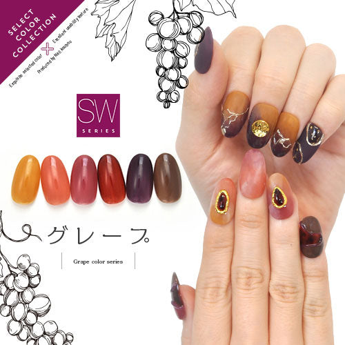 パープル フルーツ グレープ 果実 SW カラージェル ジェルネイル