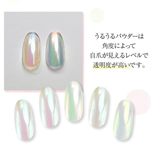 オーロラパウダー うるうるネイル うるうるパウダー モランディパウダー ミラーパウダー 選べる5色 メタリックパウダー | ネイル ネイル用品 ラメ グリッター ミラーネイル ジェルネイル用品 カラーパウダー ネイル工房 (パッケージ一部変更)
