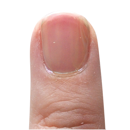 オーロラパウダー うるうるネイル うるうるパウダー モランディパウダー ミラーパウダー 選べる5色 メタリックパウダー | ネイル ネイル用品 ラメ グリッター ミラーネイル ジェルネイル用品 カラーパウダー ネイル工房 (パッケージ一部変更)