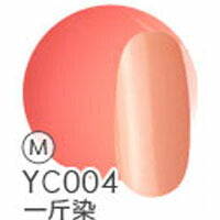 ジェルネイル 『日本の伝統色』 カラージェル 全40色 | ネイル ジェル ネイル用品 カラー カラージェルネイル ネイルジェル 爪 nail gel セルフ ポリッシュ ポリッシュカラージェル