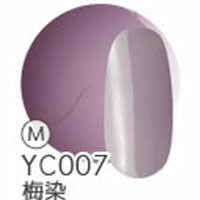 ジェルネイル 『日本の伝統色』 カラージェル 全40色 | ネイル ジェル ネイル用品 カラー カラージェルネイル ネイルジェル 爪 nail gel セルフ ポリッシュ ポリッシュカラージェル