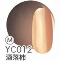 ジェルネイル 『日本の伝統色』 カラージェル 全40色 | ネイル ジェル ネイル用品 カラー カラージェルネイル ネイルジェル 爪 nail gel セルフ ポリッシュ ポリッシュカラージェル