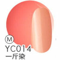 ジェルネイル 『日本の伝統色』 カラージェル 全40色 | ネイル ジェル ネイル用品 カラー カラージェルネイル ネイルジェル 爪 nail gel セルフ ポリッシュ ポリッシュカラージェル