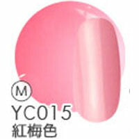 ジェルネイル 『日本の伝統色』 カラージェル 全40色 | ネイル ジェル ネイル用品 カラー カラージェルネイル ネイルジェル 爪 nail gel セルフ ポリッシュ ポリッシュカラージェル