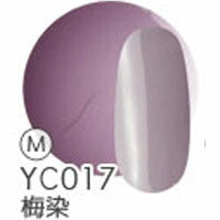 ジェルネイル 『日本の伝統色』 カラージェル 全40色 | ネイル ジェル ネイル用品 カラー カラージェルネイル ネイルジェル 爪 nail gel セルフ ポリッシュ ポリッシュカラージェル