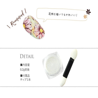 ジェルネイル レジン 偏光パール フェアリー ミラーパウダー | ネイル ネイル用品 ミラーネイル パウダー ネイルジェル nail gel セルフ ネイルグッズ ポリッシュ カラーパウダー ネイルポリッシュ ネイル工房 ジェルネイル用品 ジェル