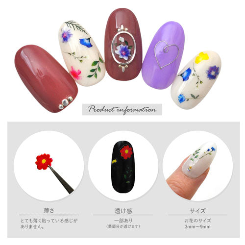 ネイルシール フラワー 花 原色カラー 極薄 押し花 押花 ドライ