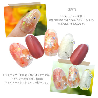 ネイルシール 紫陽花 あじさい 押花 フラワー 春 透明 ピンク 暖色 | ジェルネイル ネイル ネイル用品 ジェル シール デコ用品 貼るだけ ジェルネイルシール 花柄 花 フラワーネイルシール ネイルアート ジェルネイルアート フラワーネイル ネイル工房