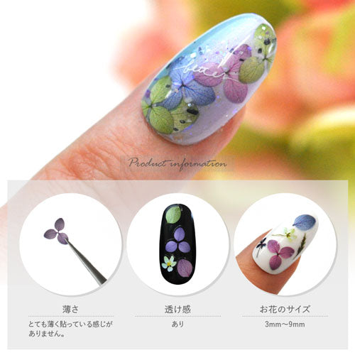 ネイルシール 紫陽花 あじさい 押花 フラワー アジサイ 押し花 | ジェルネイル ネイル ネイル用品 ジェル シール デコ用品 貼るだけ ジェルネイルシール 花柄 花 フラワーネイルシール ネイルアート ジェルネイルアート フラワーネイル ネイル工房