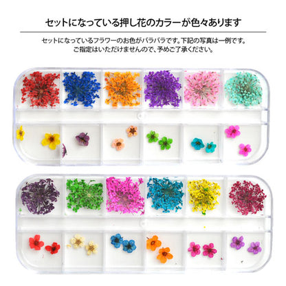 ジェルネイル＆レジンに♪押し花12種類セット フラワーお試しセット<BR><BR>ネイルパーツ ネイルアート フラワー デコ | 花 ネイル パーツ ネイル用品 パーツセット ジェルネイル用品 レジン用品 ネイルグッズ 材料 ジェルネイル