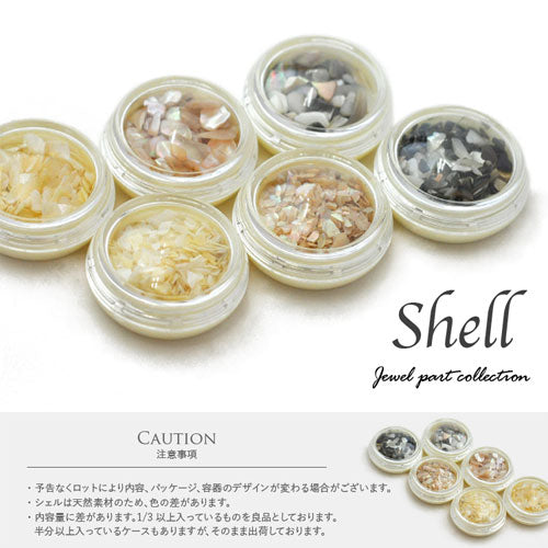 シェル6種類セット 天然貝 無着色 | ネイル パーツ ジェル ホログラム