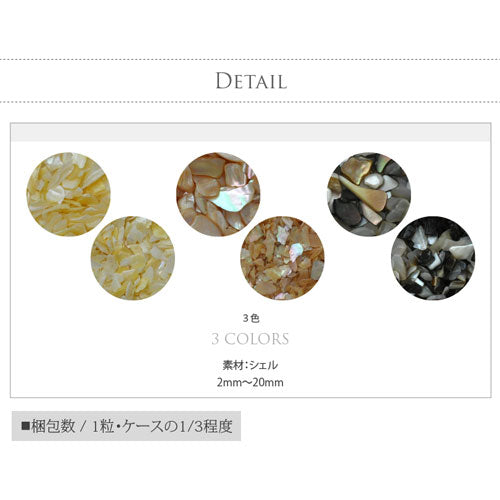 シェル6種類セット 天然貝 無着色 | ネイル パーツ ジェル ホログラム