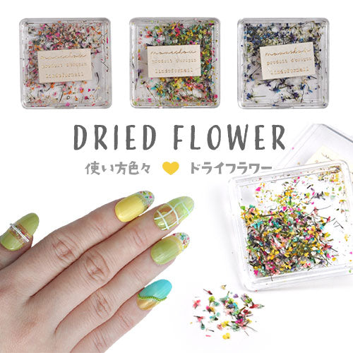 押し花 押花  ドライフラワー 春 お花 ハーバリウムアート が楽しめる フラワー お試しセット<BR><BR>ネイルパーツ ネイルアート デコ |  花 パーツ ジェル ジェルネイル ネイル用品 ネイル ジェルネイル用品 ネイルパーツ ジュエリー アート プリザーブトフラワー