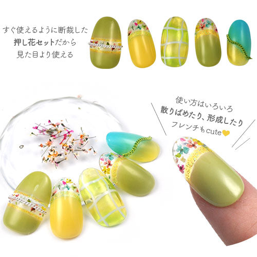 押し花 押花  ドライフラワー 春 お花 ハーバリウムアート が楽しめる フラワー お試しセット<BR><BR>ネイルパーツ ネイルアート デコ |  花 パーツ ジェル ジェルネイル ネイル用品 ネイル ジェルネイル用品 ネイルパーツ ジュエリー アート プリザーブトフラワー