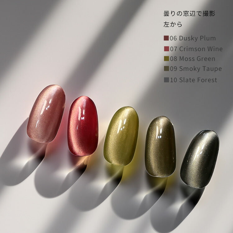 【5色から購入OK】 ジェルネイル 120色セット カラージェル 秋ネイル 秋 冬に活躍する「 5micron muted 」新パッケージ まるでセラミック 超