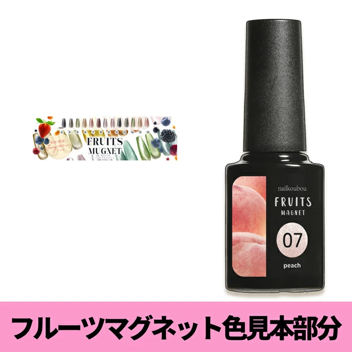 【大山様専売】フルーツマグネット専用什器セット