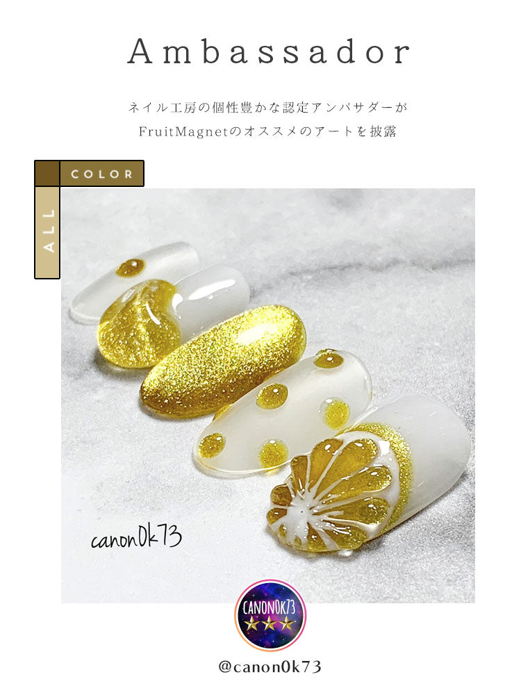 【全12色セット】超高発色 マグネットネイル フルーツの果汁のような透明感あふれる 「FruitMagnet」 カラージェル ジェルネイル クリアカラー   カラー ポリッシュ ネイルジェル ジェルネイル用品 爪 カラージェルネイル ジェルネイルアート ネイル工房 にわちゃん