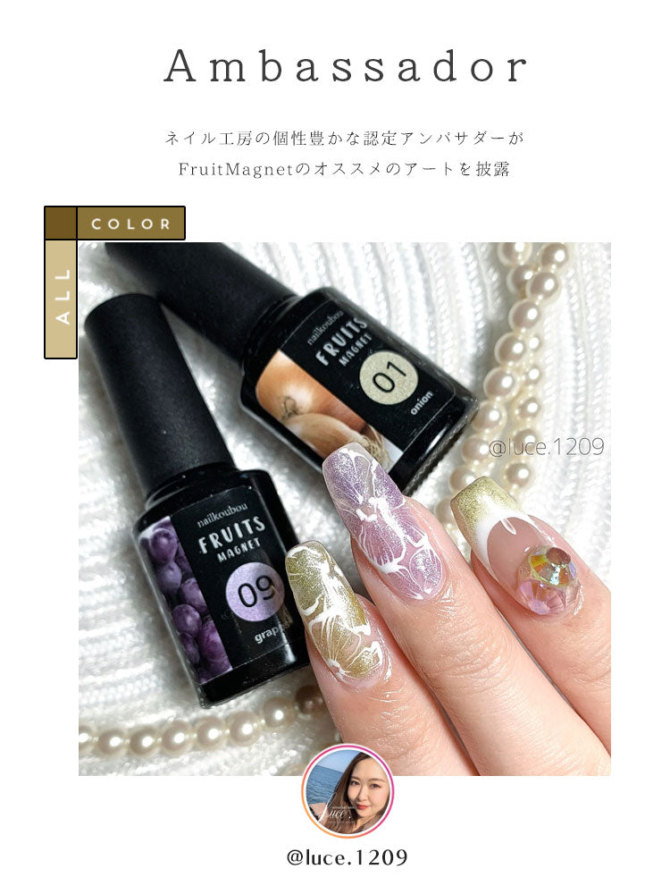 【全12色セット】超高発色 マグネットネイル フルーツの果汁のような透明感あふれる 「FruitMagnet」 カラージェル ジェルネイル クリアカラー   カラー ポリッシュ ネイルジェル ジェルネイル用品 爪 カラージェルネイル ジェルネイルアート ネイル工房 にわちゃん