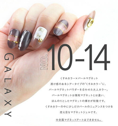 【全20色セット】マグネットネイル カラージェル  ジェルネイル  「self premium」|  キャッツアイ ラメ  カラー ポリッシュ ネイルジェル アートジェル ジェルネイル用品 爪 カラージェルネイル ジェルネイルアート ネイル工房 にわちゃん