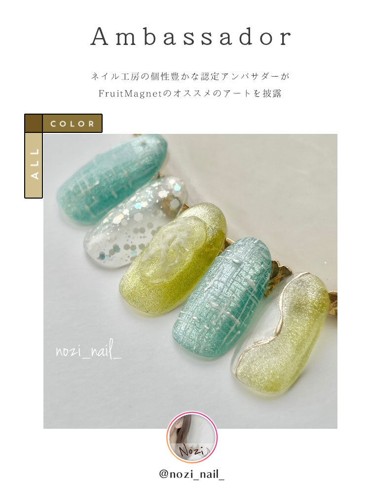 【全12色セット】超高発色 マグネットネイル フルーツの果汁のような透明感あふれる 「FruitMagnet」 カラージェル ジェルネイル クリアカラー   カラー ポリッシュ ネイルジェル ジェルネイル用品 爪 カラージェルネイル ジェルネイルアート ネイル工房 にわちゃん