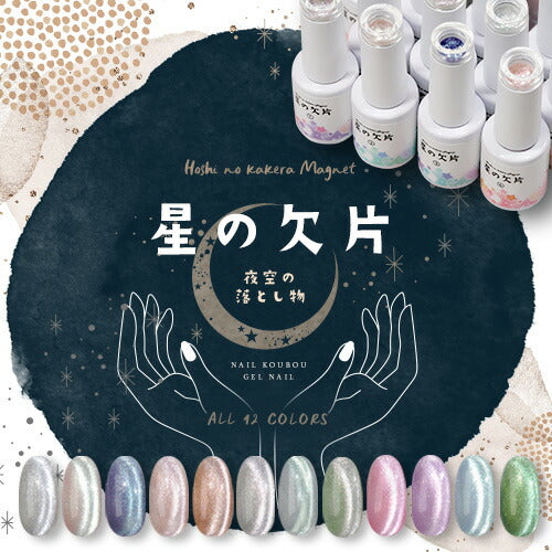 マグネットネイル 「星の欠片マグネット」 エフェクトパウダー 入りでキラキラ無限大  カラージェル ジェルネイル クリアカラー  ネイルジェル アートジェル ジェルネイル用品 爪 カラージェルネイル ネイル工房 にわちゃん