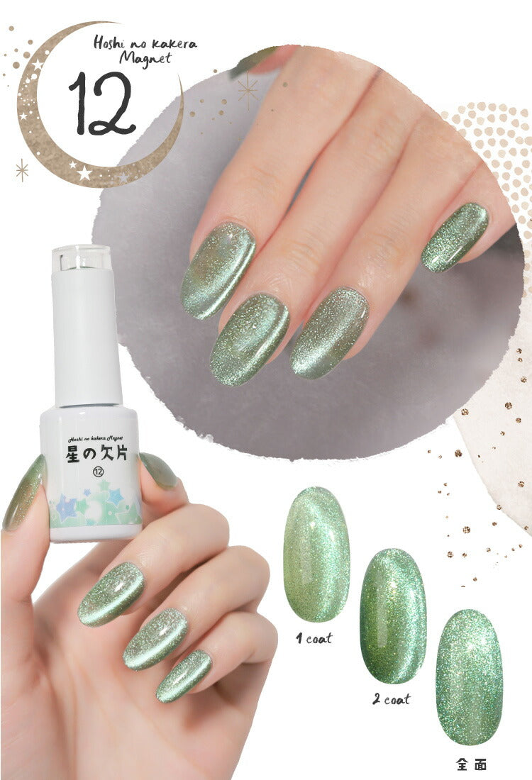 マグネットネイル 「星の欠片マグネット」 エフェクトパウダー 入りでキラキラ無限大  カラージェル ジェルネイル クリアカラー  ネイルジェル アートジェル ジェルネイル用品 爪 カラージェルネイル ネイル工房 にわちゃん