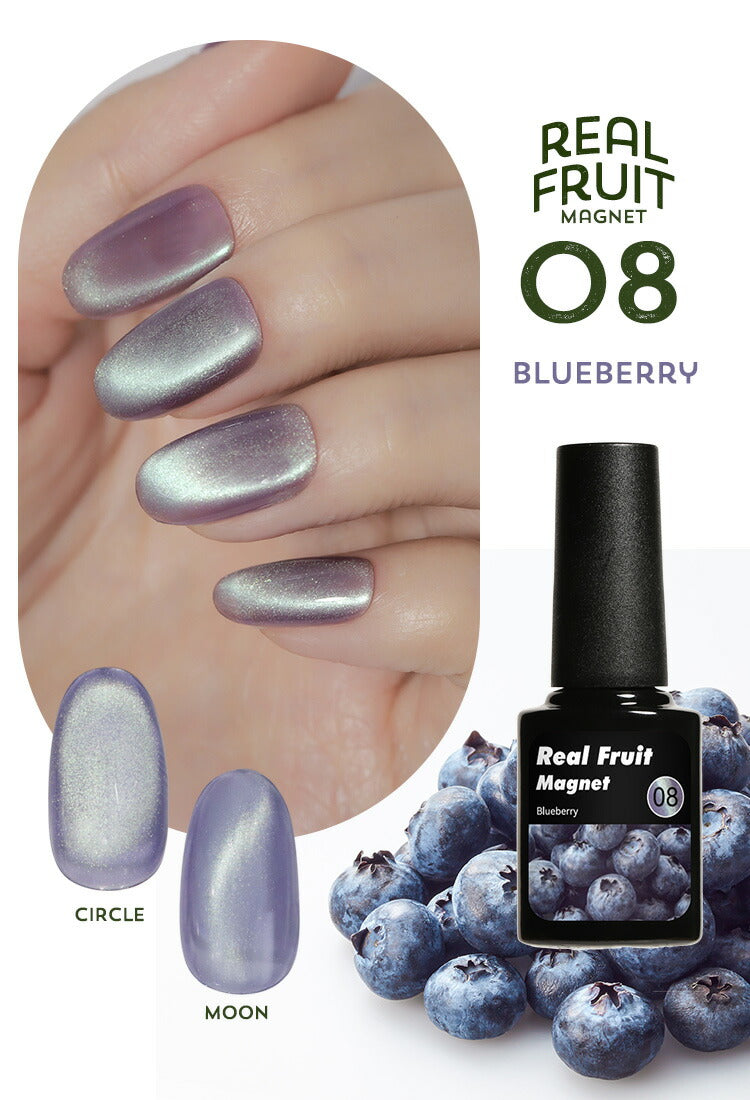 リアルフルーツマグネット マグネットネイル 「RealFruit Magnet