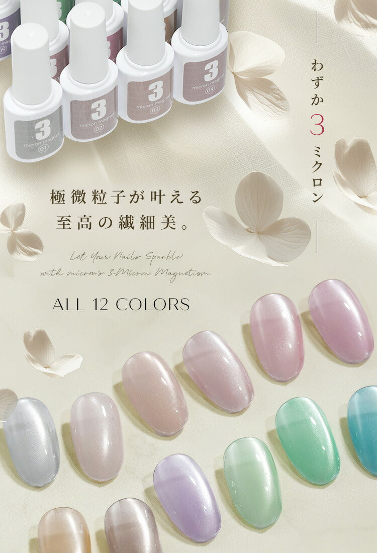 【全品半額coupon事前配布中】リアルフルーツマグネットマグネットネイル「RealFruitMagnet」カラージェルジェルネイルクリアカラーネイルジェルアートジェルジェルネイル用品爪カラージェルネイルネイル工房にわちゃん