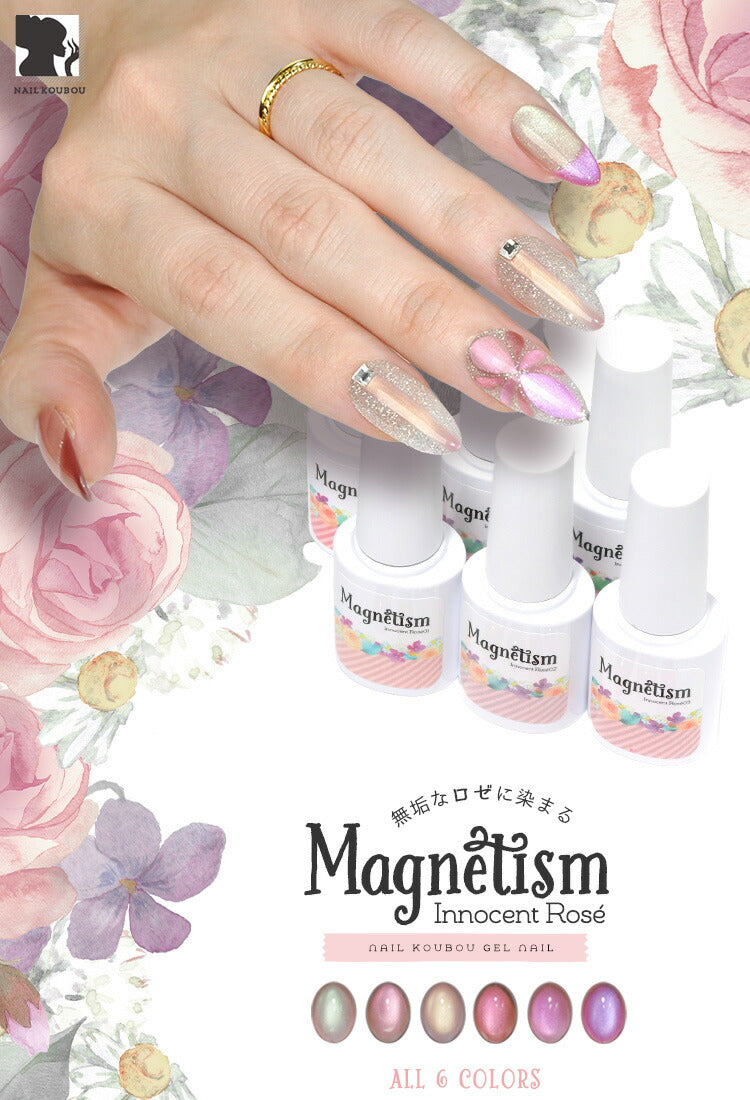 【全品半額coupon事前配布中】リアルフルーツマグネットマグネットネイル「RealFruitMagnet」カラージェルジェルネイルクリアカラーネイルジェルアートジェルジェルネイル用品爪カラージェルネイルネイル工房にわちゃん