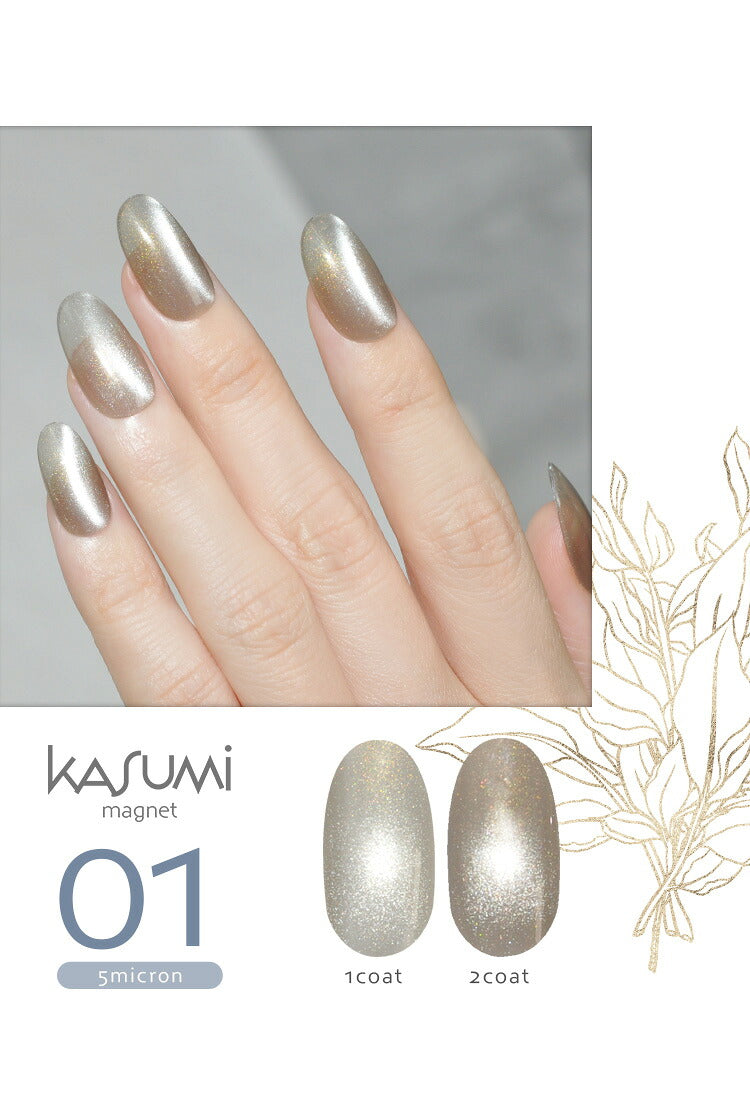 ふわっと広がるmagnet × チラ見えする偏光  KASUMIMagnet(かすみマグネット） 5micron マグネット マグネットネイル  カラージェル ジェルネイル ジェルネイル用品 爪 ネイル工房 にわちゃん